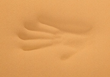 МАТРАС 140x200 Comfort Med КОКОС ВИСКО MULTIPOCKET