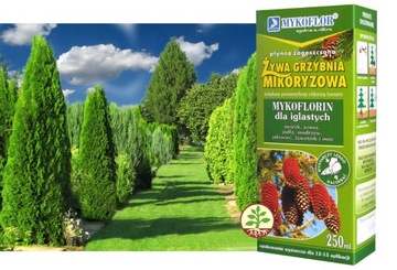 МИКОРБИЯ ДЛЯ ХВОЙНЫХ, микориза