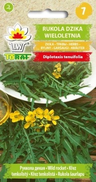 Rukola dzika wieloletnia 1g TORAF