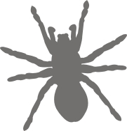 Отражатели, ЖЕЛЕЗНЫЕ НАШИВКИ, Черви, Веселая нашивка