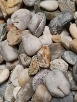 LAS W SŁOIKU OTOCZAK MIX MIODOWY RZECZNY 0,5 KG