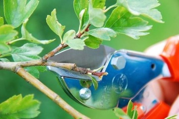LÖWE 5.124 ПРЕДОХРАНИТЕЛЬНЫЙ