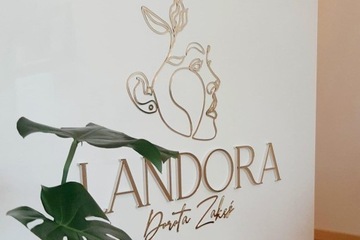 Логотип в виде буквы из плексигласа, золотое серебряное зеркало