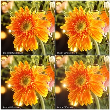 ДИФФУЗИОННЫЙ ФИЛЬТР BLACK MIST 1/4 KF CONCEPT NanoX 58