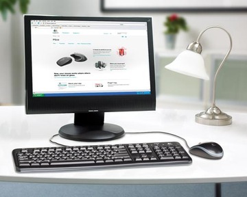 OEM-МЫШЬ LOGITECH B100