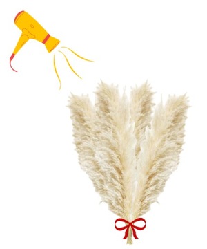 TRAWA PAMPASOWA SUSZONA DO WAZONU OZDOBNA PAMPASY