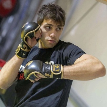 L ARM-2011d Rękawice do MMA DBX BUSHIDO L 2181