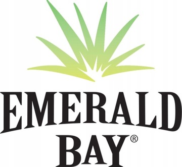 Emerald Bay Definitely Black Power Bronzer