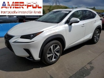 Lexus NX I 2018 Lexus NX 2018 Lexus NX NX 300h AWD 2.5 Benzyna 194KM