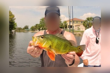 СУПЕР ЛЕГКИЕ ТОПЫ GRIPPER MISTRAL RED