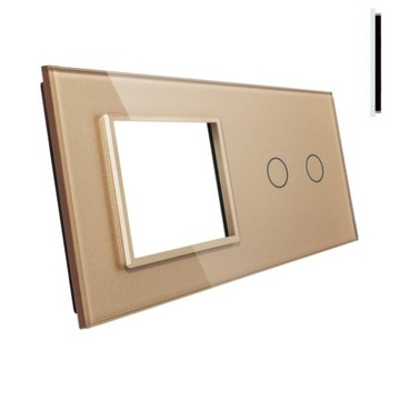 LIVOLO PANEL SZKLANY WŁĄCZNIKA PODWÓJ. I GNIAZDA Z
