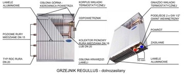 Grzejnik REGULLUS R6/100 RAL Zasilanie boczne