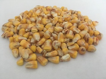 Комбикорм для кроликов на откорме кроликов 25 кг без ГМО из ПОЛЬСКИХ круп