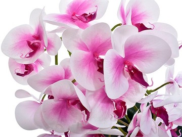 ИСКУССТВЕННАЯ ОРХИДЕЯ ЦВЕТОЧНЫЙ ГОРШОК ОРХИДЕЯ КАК ЖИВАЯ