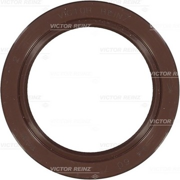 81-53279-10 REINZ GUFERO 44X60X7,0