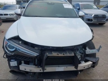 Alfa Romeo Stelvio SUV Facelifting 2.0 Turbo 280KM 2020 Alfa Romeo Stelvio 2020., 2.0L AWD 2.0 Benzyna 280KM, zdjęcie 11