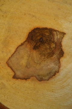 Plaster Kasztana 38x30 cm Drewniane Deski Tacka