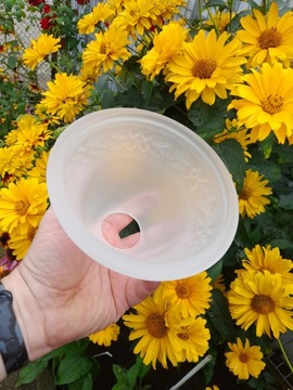 Старый стеклянный абажур