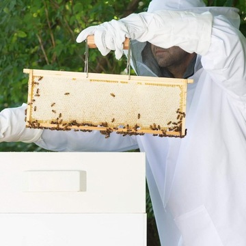 ПРОФЕССИОНАЛЬНЫЙ ПЧЕЛОВОДЧЕСКИЙ КОСТЮМ, ПЧЕЛОВОДЧЕСКАЯ ОДЕЖДА ДЛЯ ПЧЕЛОВОДОВ