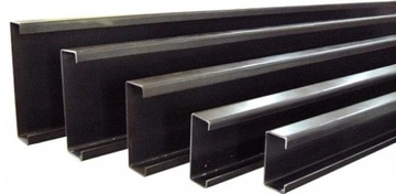 Ceownik 100x20 Palisadowe ogrodzenie płot C2 profi
