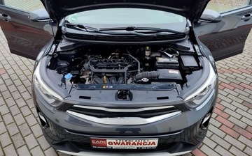 Kia Stonic I Crossover 1.2 DOHC 84KM 2018 Kia Stonic Filmik VIDEO Oryginal Przebieg Bogata Wersja NAVI Kamerka podg., zdjęcie 32