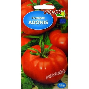 POMIDOR ADONIS MALINOWY 0,5 g 'POLAN
