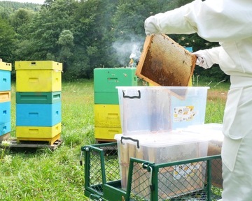 30Л СОТОВЫЙ КОНТЕЙНЕР ДЛЯ РАМ В ВЕЛИКОЙ ПОЛЬШЕ