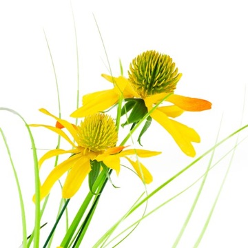 ИСКУССТВЕННАЯ ТРАВА ФЕЙКА РУДБЕКИЯ РОМАШКА ДЕКОРАТИВНАЯ