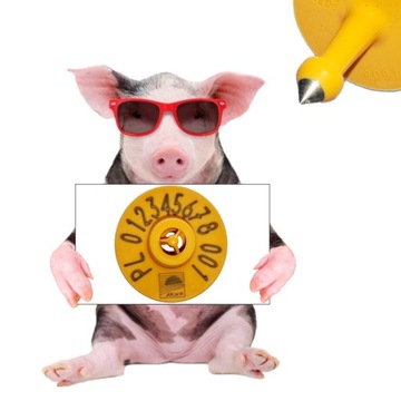 KOLCZYKI DLA TRZODY ŚWIŃ 500KPL SZYBKO!!!