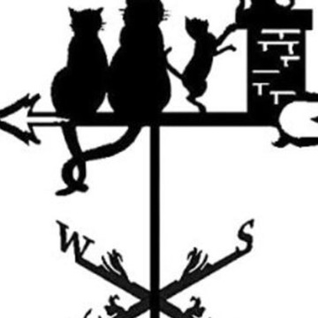 Montaż na płocie wiatrowskaz profesjonalny