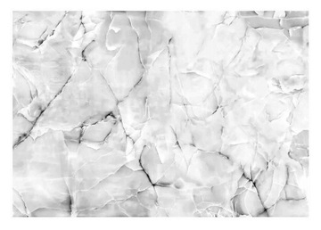 FOTOTAPETA MARMUR ABSTRAKCJA SZARY TAPETA NA ŚCIANĘ SALON 368x254