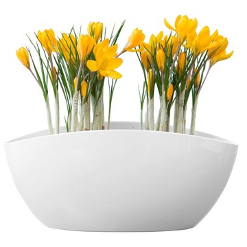 ЦВЕТОЧНЫЙ ГОРШОК КРЫШКА ЦВЕТОЧНАЯ ЧАША ЧАШКА ПОСЕВ СЕМЯНА