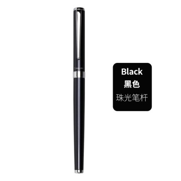 Pilot CAVALIER Fountain Pen. Calligraphy Writing, Signature, Diary, Artist