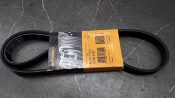 6pk1153 pasek wielorowkowy continental nowy