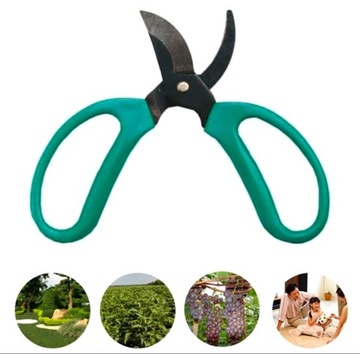 ЗАЩИТНЫЕ НОЖНИЦЫ ДЛЯ УХОДА ЗА КОМНАТНЫМИ РАСТЕНИЯМИ