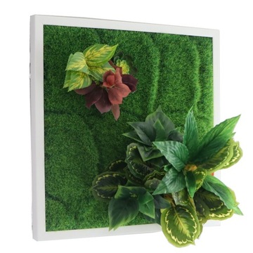 PIĘKNA DO OBRAZÓW ROŚLINA XL DO OBRAZÓW 3D - BELLO PLANT - GREEN HEARTS