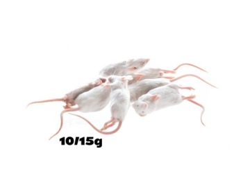 Мыши замороженные 10/15г [упаковка 25 шт.]