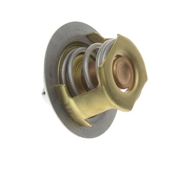 OEM-ТЕРМОСТАТ PERKINS CAT