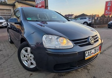 Volkswagen Golf V Hatchback 1.4 i 16V 75KM 2005