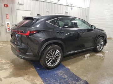 Lexus NX II 2022 Lexus NX 350H 2022 2.5l 2.5 Hybryda 240KM, zdjęcie 3