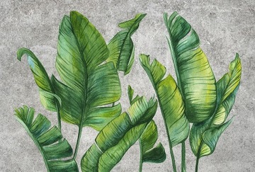 Fototapeta mural duże liście palmowe XXL 368x248