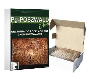 Grzybnia EKO do Rozkładku Pni Drzew Poszwald 0,6