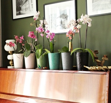 Osłonka Doniczka Ceramiczna Orchid 13x15 cm biała