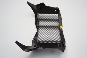 BMW F 850 ​​GS 18- РЕШЕТКА РАДИАТОРА