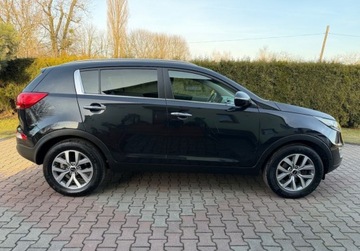 Kia Sportage III SUV Facelifting 1.6 GDI 135KM 2015 Kia Sportage 1.6 Infinity Navi Skora Kamera Bezwypadkowy Dla wymagajacy, zdjęcie 5