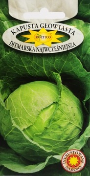 Kapusta gruntowa, głowiasta Ditmarska, nasiona 2g