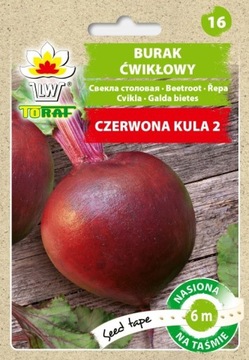 BURAK ĆWIKŁOWY CZERWONA KULA 2 NASIONA NA TAŚMIE 6 M