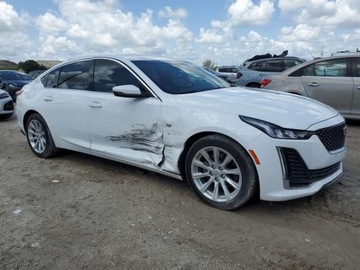 Cadillac 2021 Cadillac CT5 Luxury 2021 2.0l 2.0 Benzyna 237KM, zdjęcie 4