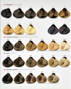 Краска Renee Blanche Haute Coiffure 100 мл, 8,4