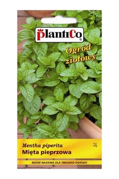 Mięta Pieprzowa 0,1g Nasiona PlantiCo